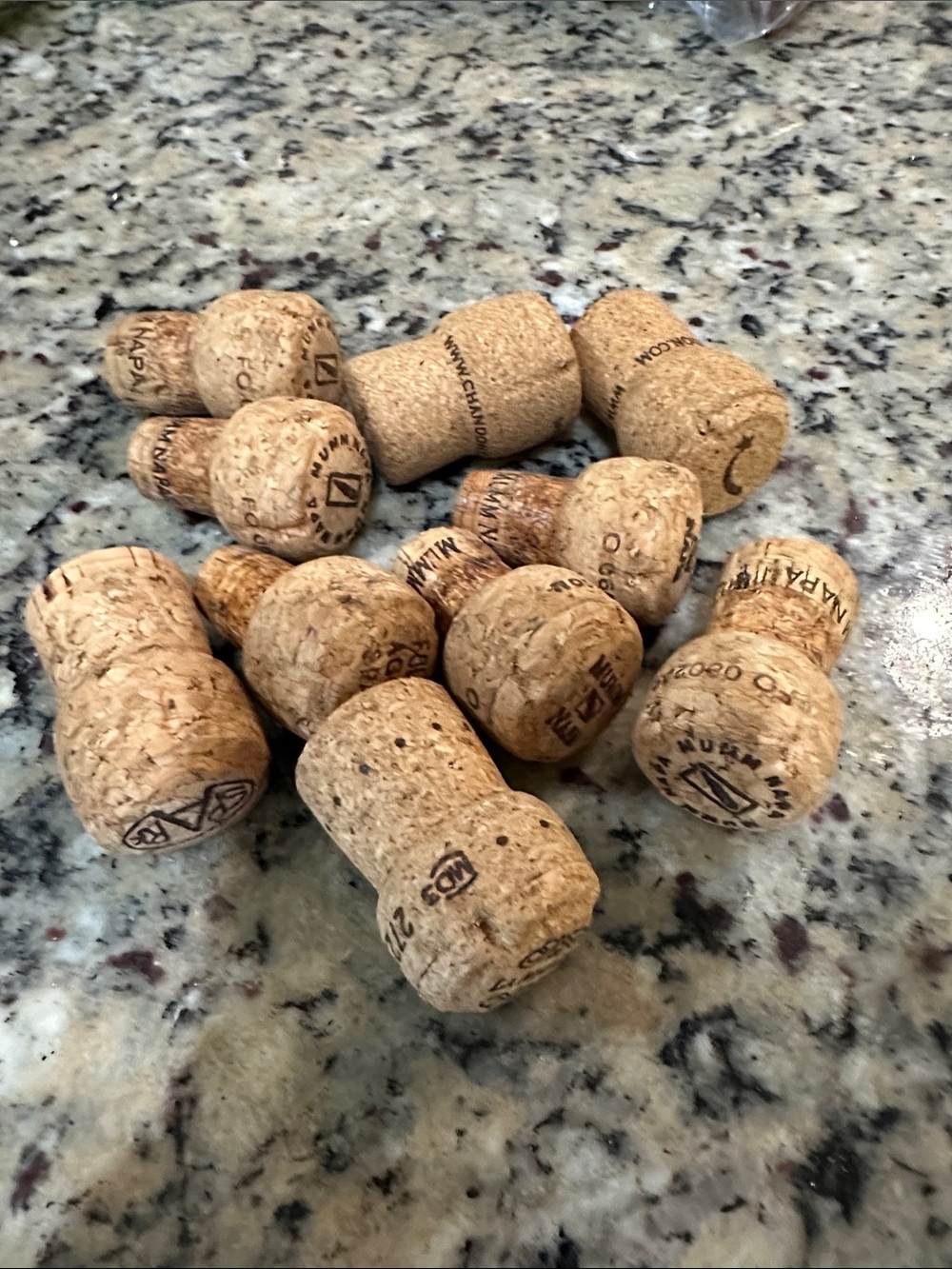 Assorted 10 Champagne Corks - Natural Cork Color